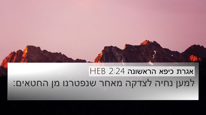 אגרת כיפא הראשונה 2:24 HEB Bible Verse Image