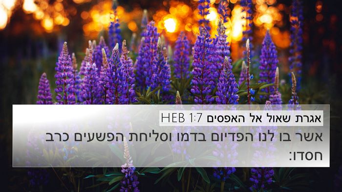 אגרת שאול אל האפסים 1:7 HEB Bible Verse Image