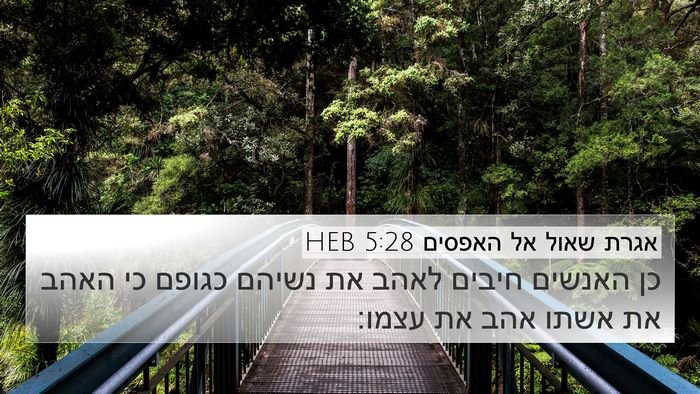אגרת שאול אל האפסים 5:28 HEB Bible Verse Image