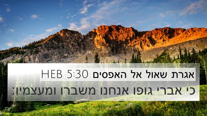 אגרת שאול אל האפסים 5:30 HEB Bible Verse Image