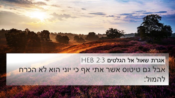 אגרת שאול אל הגלטים 2:3 HEB Bible Verse Image
