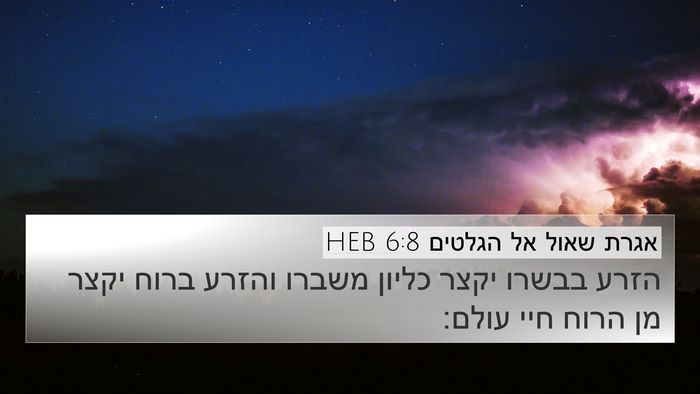 אגרת שאול אל הגלטים 6:8 HEB Bible Verse Image
