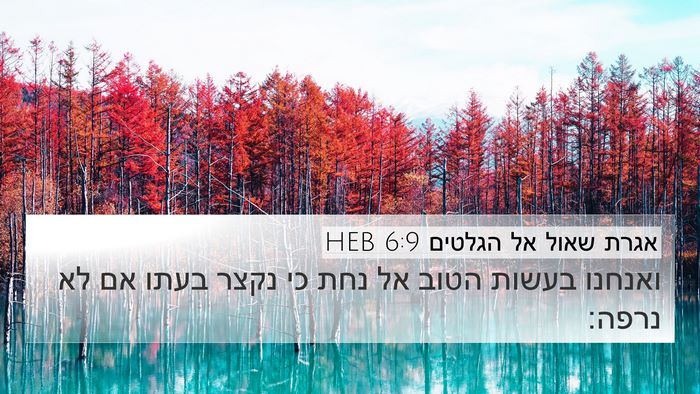 אגרת שאול אל הגלטים 6:9 HEB Bible Verse Image