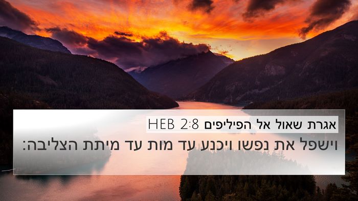 אגרת שאול אל הפיליפים 2:8 HEB Bible Verse Image