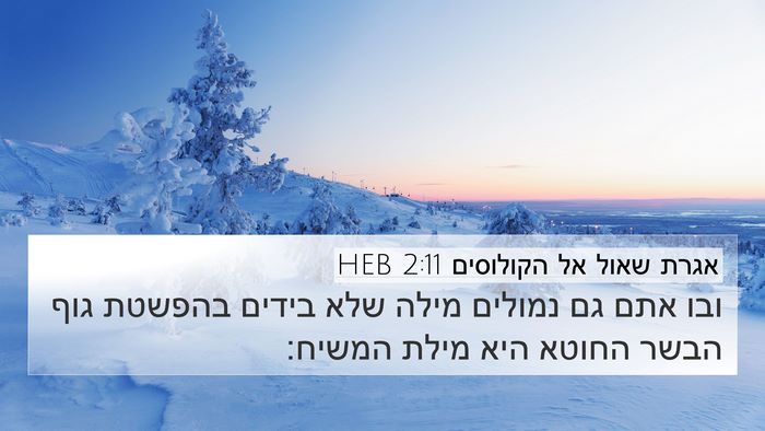 אגרת שאול אל הקולוסים 2:11 HEB Bible Verse Image