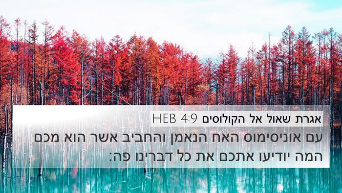 אגרת שאול אל הקולוסים 4:9 HEB 4K Wallpaper - עם אוניסימוס האח הנאמן - 4K Wallpaper Bible Verse