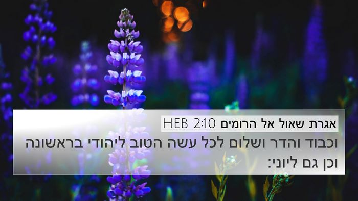 אגרת שאול אל הרומים 2:10 HEB Bible Verse Image