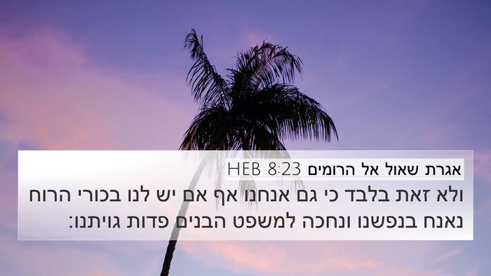 אגרת שאול אל הרומים 8:23 HEB Bible Verse Image