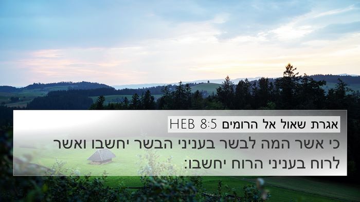 אגרת שאול אל הרומים 8:5 HEB Bible Verse Image