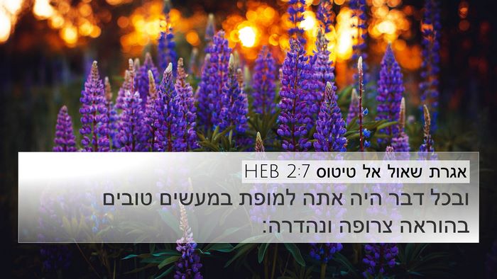 אגרת שאול אל טיטוס 2:7 HEB Bible Verse Image