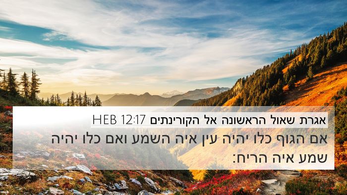אגרת שאול הראשונה אל הקורינתים 12:17 HEB 4K Wallpaper - אם הגוף כלו יהיה עין איה - 4K Wallpaper Bible Verse