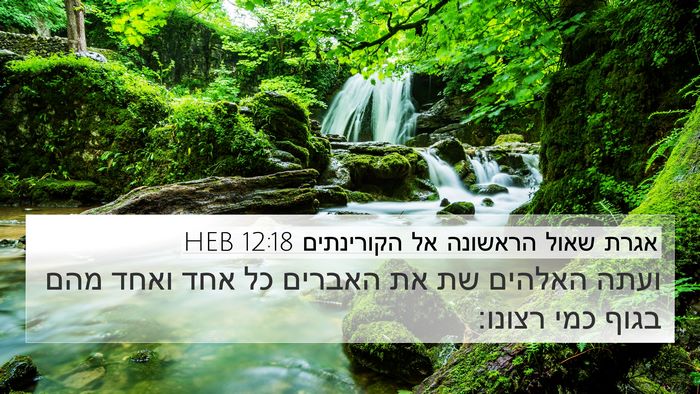 אגרת שאול הראשונה אל הקורינתים 12:18 HEB Bible Verse Image