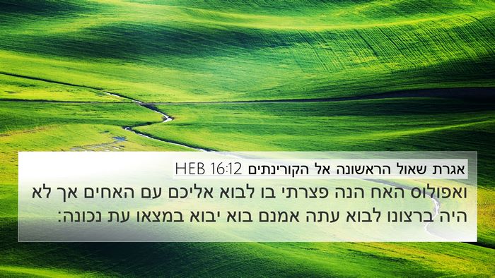 אגרת שאול הראשונה אל הקורינתים 16:12 HEB Bible Verse Image