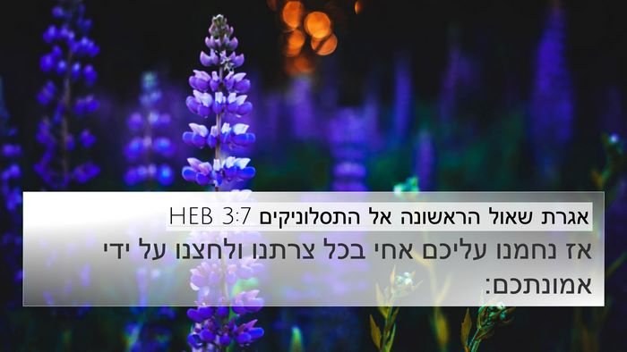 אגרת שאול הראשונה אל התסלוניקים 3:7 HEB Bible Verse Image