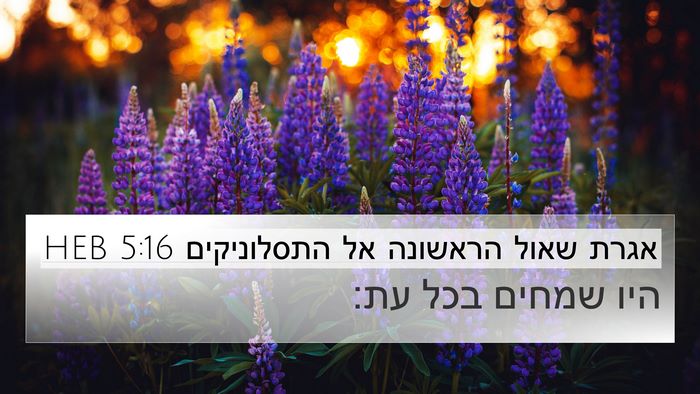 אגרת שאול הראשונה אל התסלוניקים 5:16 HEB Bible Verse Image