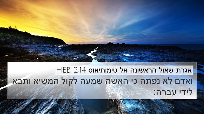 אגרת שאול הראשונה אל טימותיאוס 2:14 HEB 4K Wallpaper - ואדם לא נפתה כי האשה שמעה - 4K Wallpaper Bible Verse