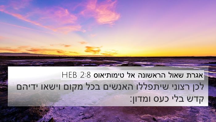 אגרת שאול הראשונה אל טימותיאוס 2:8 HEB Bible Verse Image