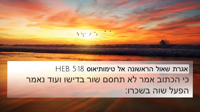 אגרת שאול הראשונה אל טימותיאוס 5:18 HEB 4K Wallpaper - כי הכתוב אמר לא תחסם שור - 4K Wallpaper Bible Verse