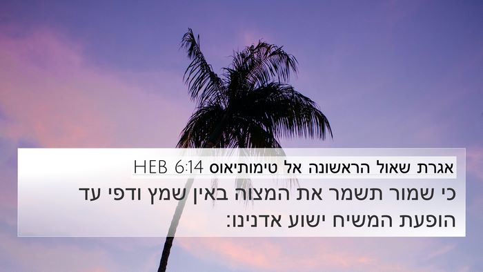 אגרת שאול הראשונה אל טימותיאוס 6:14 HEB Bible Verse Image