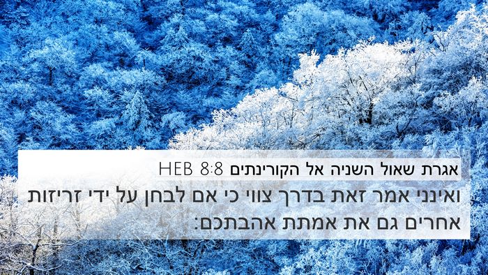 אגרת שאול השניה אל הקורינתים 8:8 HEB Bible Verse Image