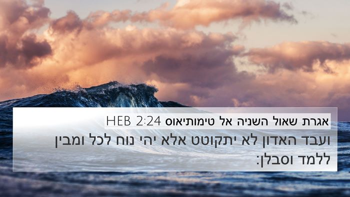 אגרת שאול השניה אל טימותיאוס 2:24 HEB Bible Verse Image