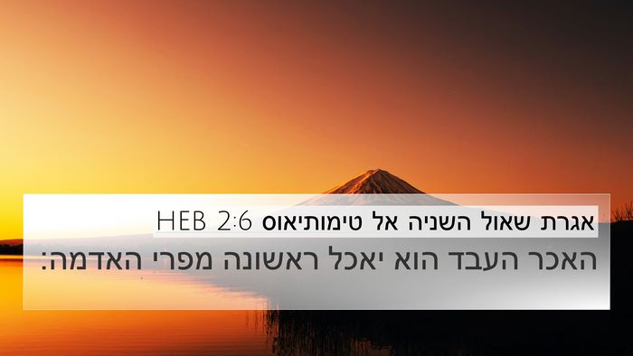 אגרת שאול השניה אל טימותיאוס 2:6 HEB Bible Verse Image
