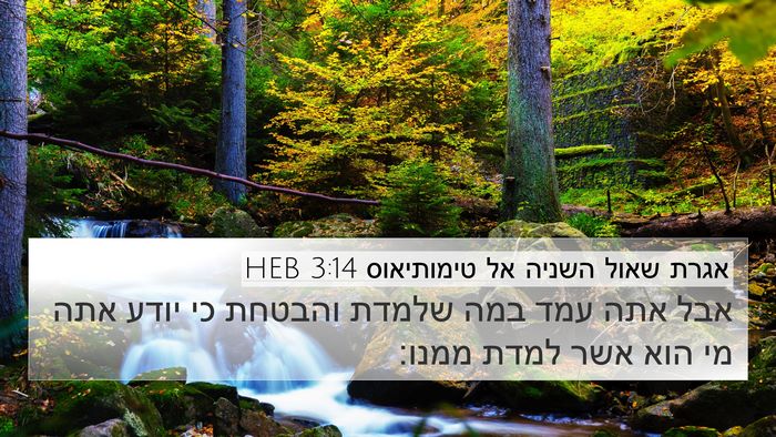 אגרת שאול השניה אל טימותיאוס 3:14 HEB 4K Wallpaper - אבל אתה עמד במה שלמדת - 4K Wallpaper Bible Verse