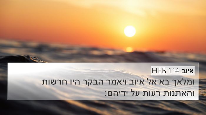 איוב 1:14 HEB 4K Wallpaper - ומלאך בא אל איוב ויאמר הבקר - 4K Wallpaper Bible Verse