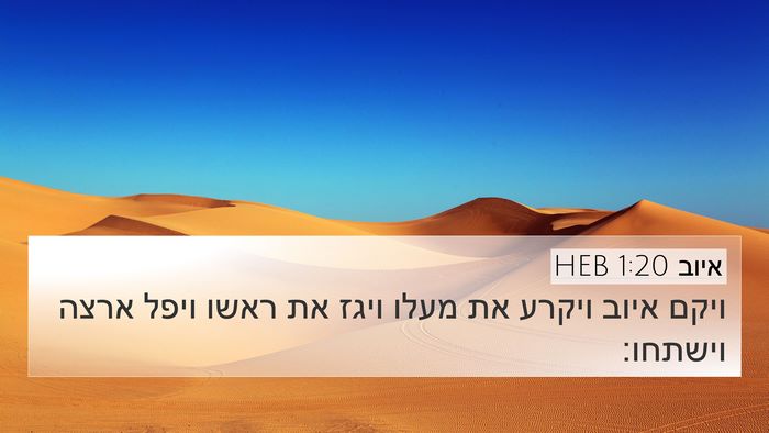 איוב 1:20 HEB Bible Verse Image