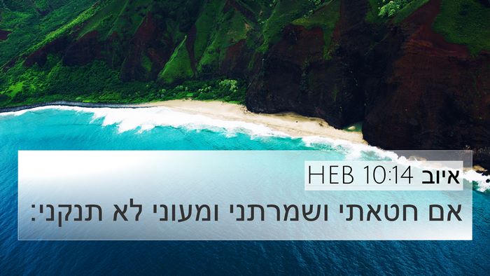 איוב 10:14 HEB Bible Verse Image