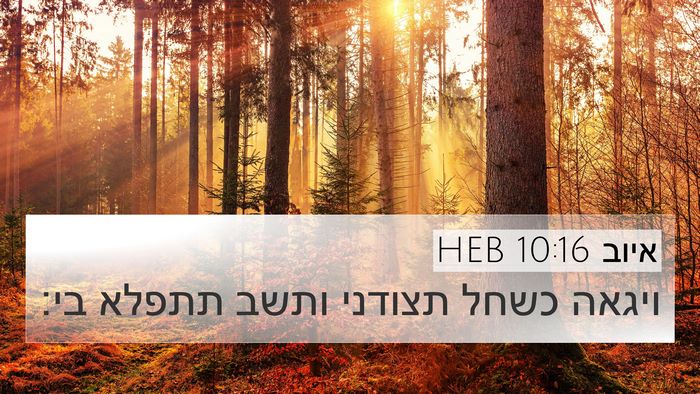 איוב 10:16 HEB Bible Verse Image