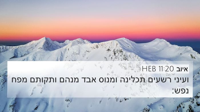 איוב 11:20 HEB Bible Verse Image