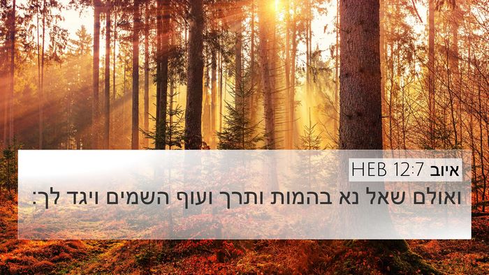 איוב 12:7 HEB Bible Verse Image