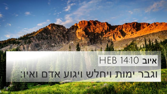 איוב 14:10 HEB Bible Verse Image
