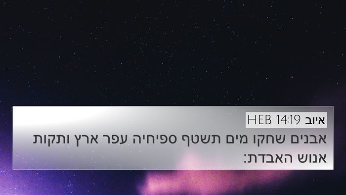 איוב 14:19 HEB Bible Verse Image