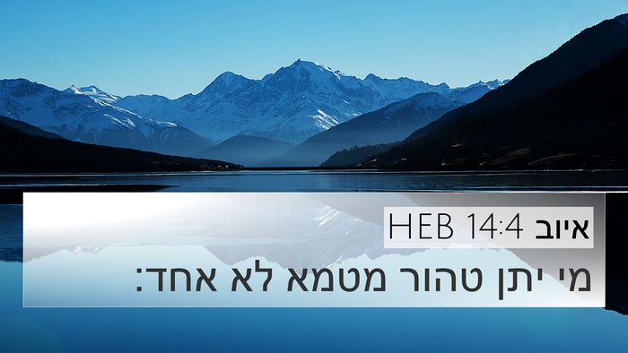 איוב 14:4 HEB Bible Verse Image