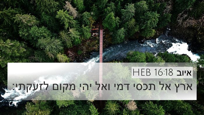 איוב 16:18 HEB Bible Verse Image