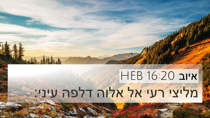 איוב 16:20 HEB Bible Verse Image