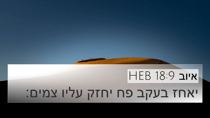 איוב 18:9 HEB 4K Wallpaper - יאחז בעקב פח יחזק עליו - 4K Wallpaper Bible Verse