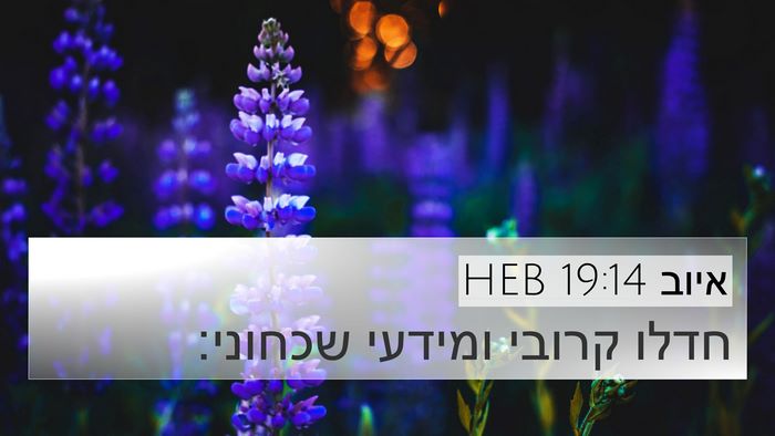 איוב 19:14 HEB Bible Verse Image