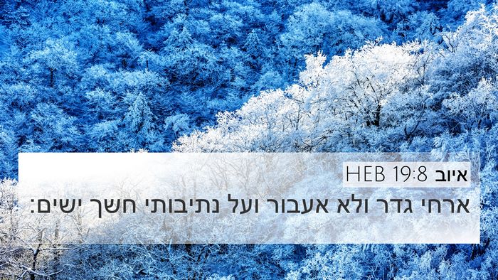 איוב 19:8 HEB Bible Verse Image