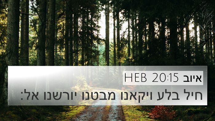 איוב 20:15 HEB Bible Verse Image