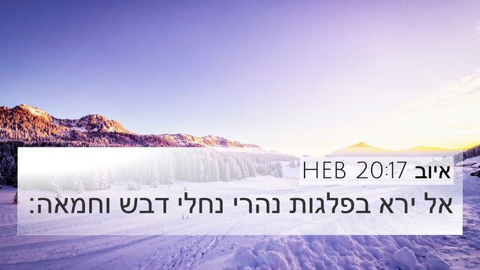 איוב 20:17 HEB Bible Verse Image