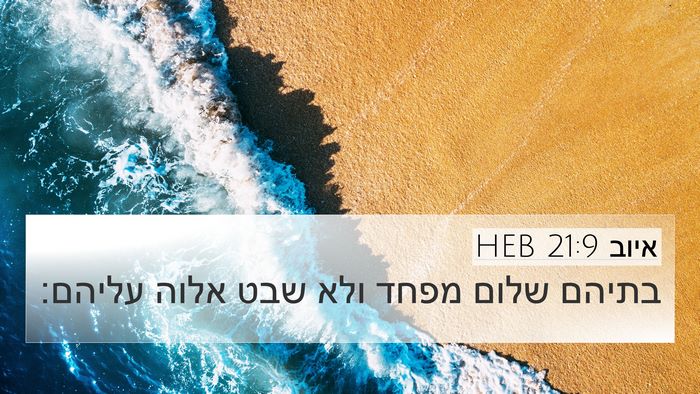 איוב 21:9 HEB Bible Verse Image