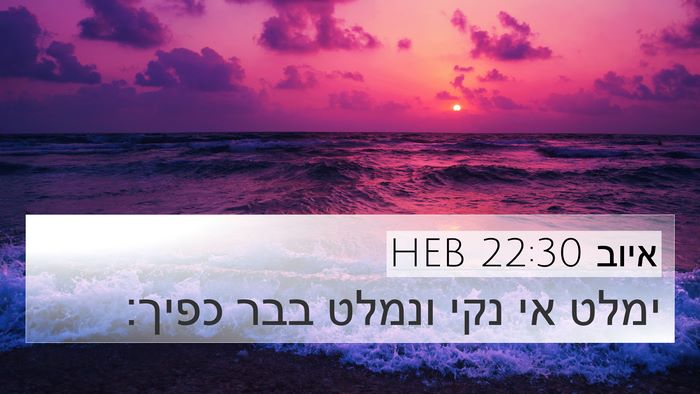 איוב 22:30 HEB Bible Verse Image