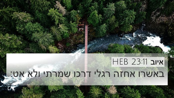 איוב 23:11 HEB Bible Verse Image