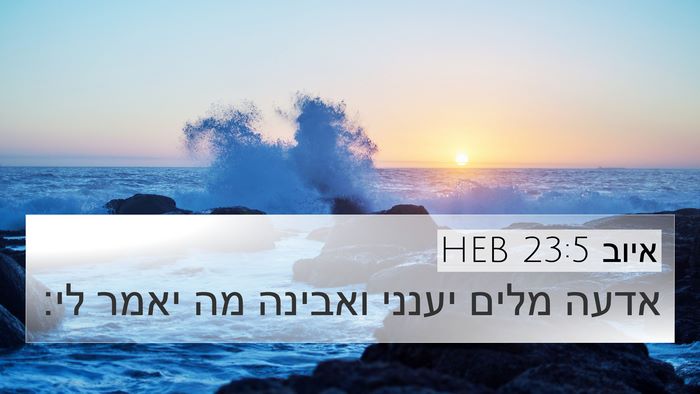 איוב 23:5 HEB Bible Verse Image