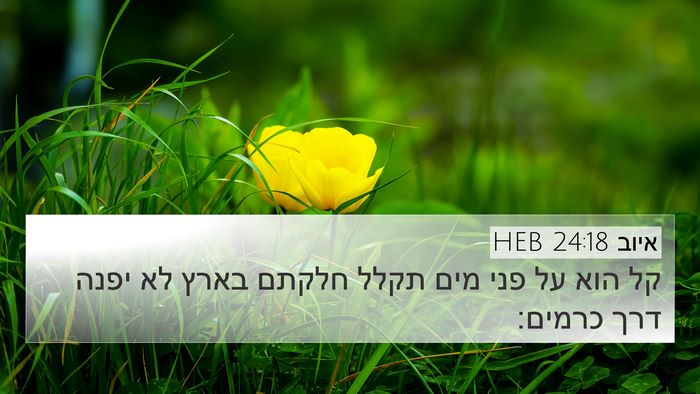 איוב 24:18 HEB 4K Wallpaper - קל הוא על פני מים תקלל - 4K Wallpaper Bible Verse