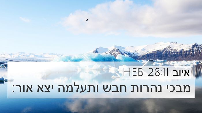 איוב 28:11 HEB Bible Verse Image