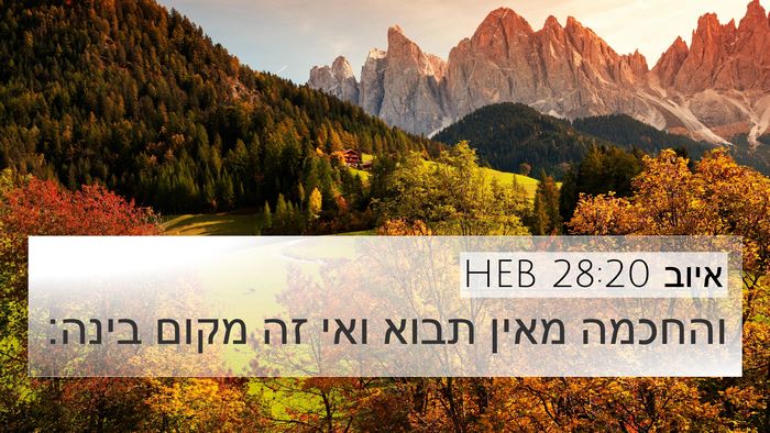 איוב 28:20 HEB Bible Verse Image